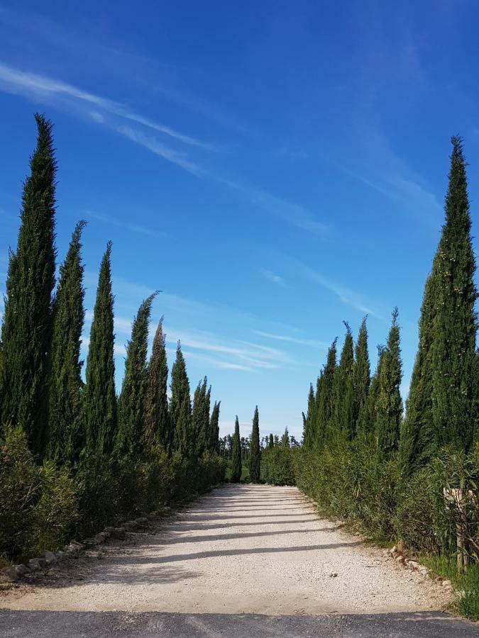 Le Mas De Guiguite Mézoargues Kültér fotó