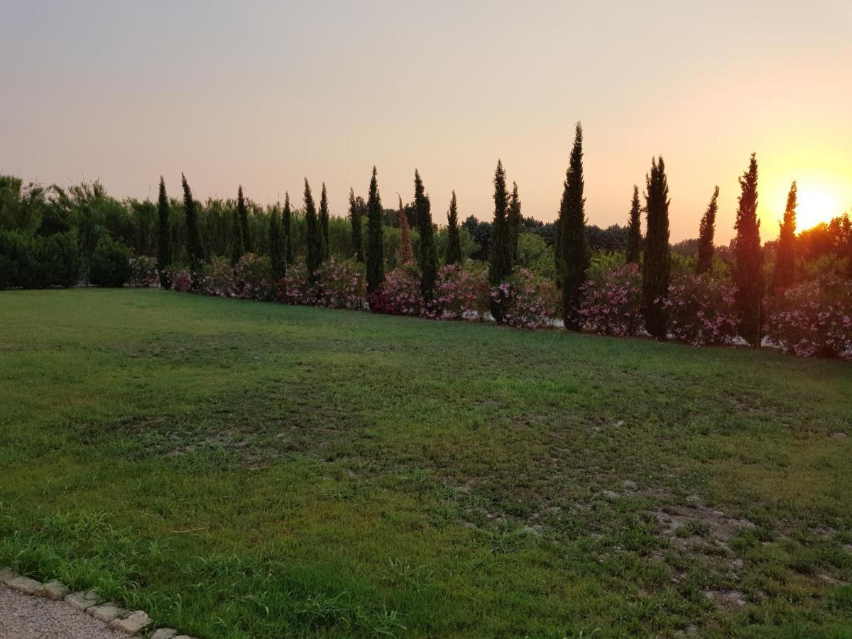 Le Mas De Guiguite Mézoargues Kültér fotó